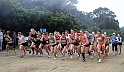 2011 BayXC-099